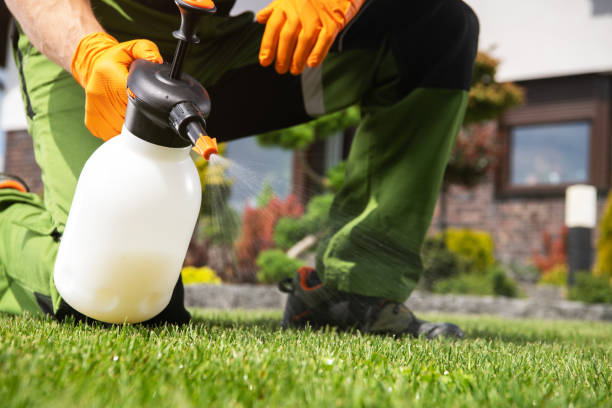Reliable Chino Valley, AZ Pest Control Solutions