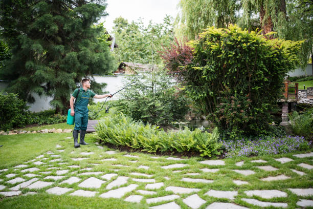 Best Best Pest Control Companies  in Chino Valley, AZ