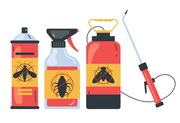 Best Bed Bug Extermination  in Chino Valley, AZ